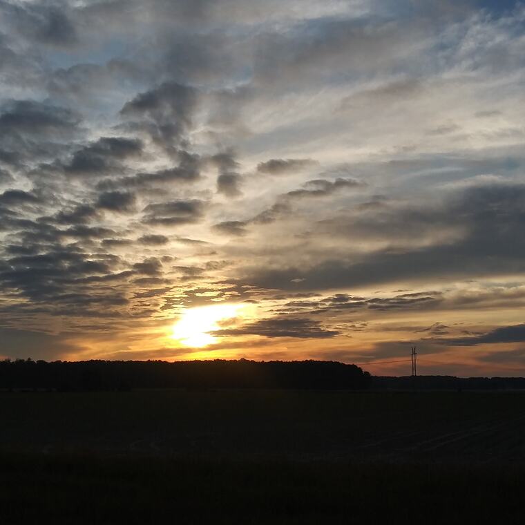 Solstice Grey banner image