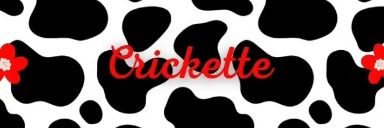 Crickette banner image