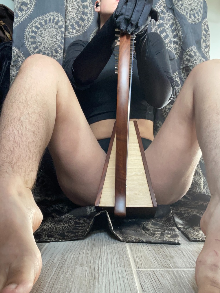 Scar cover image