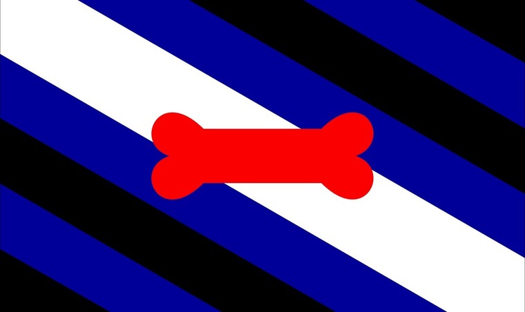 CrissNG cover image