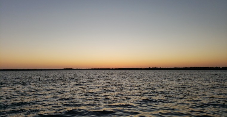 Crissy cover image