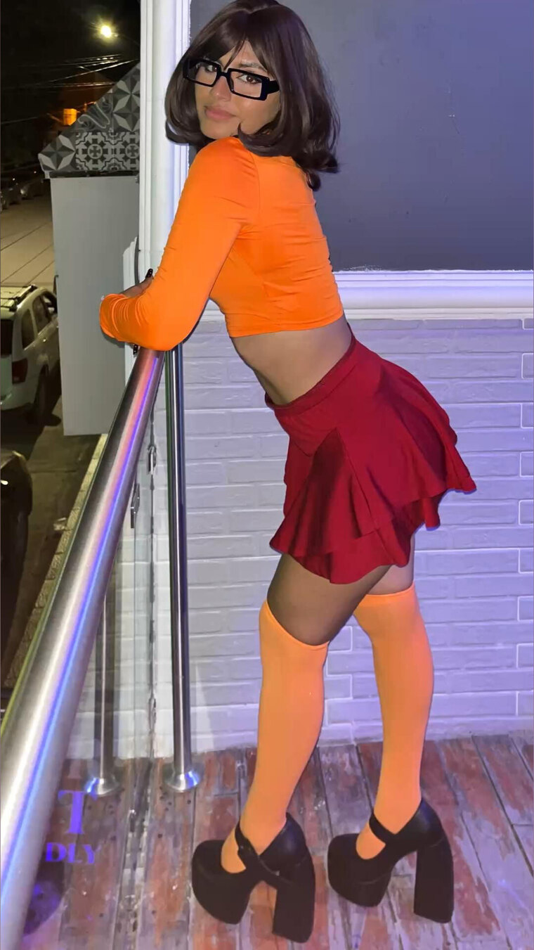 Crisss banner image
