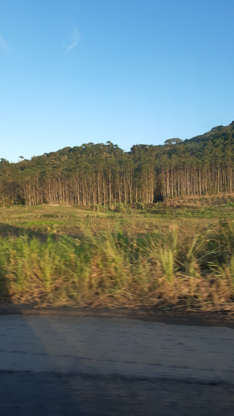 Matheus Portela banner image