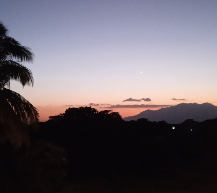 CRISTY banner image