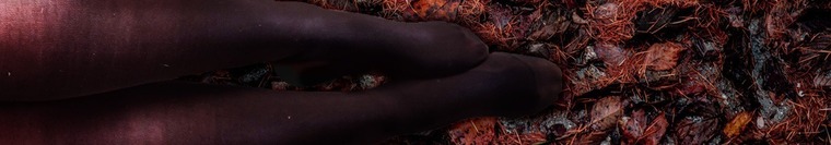 Cryptic Sole cover image