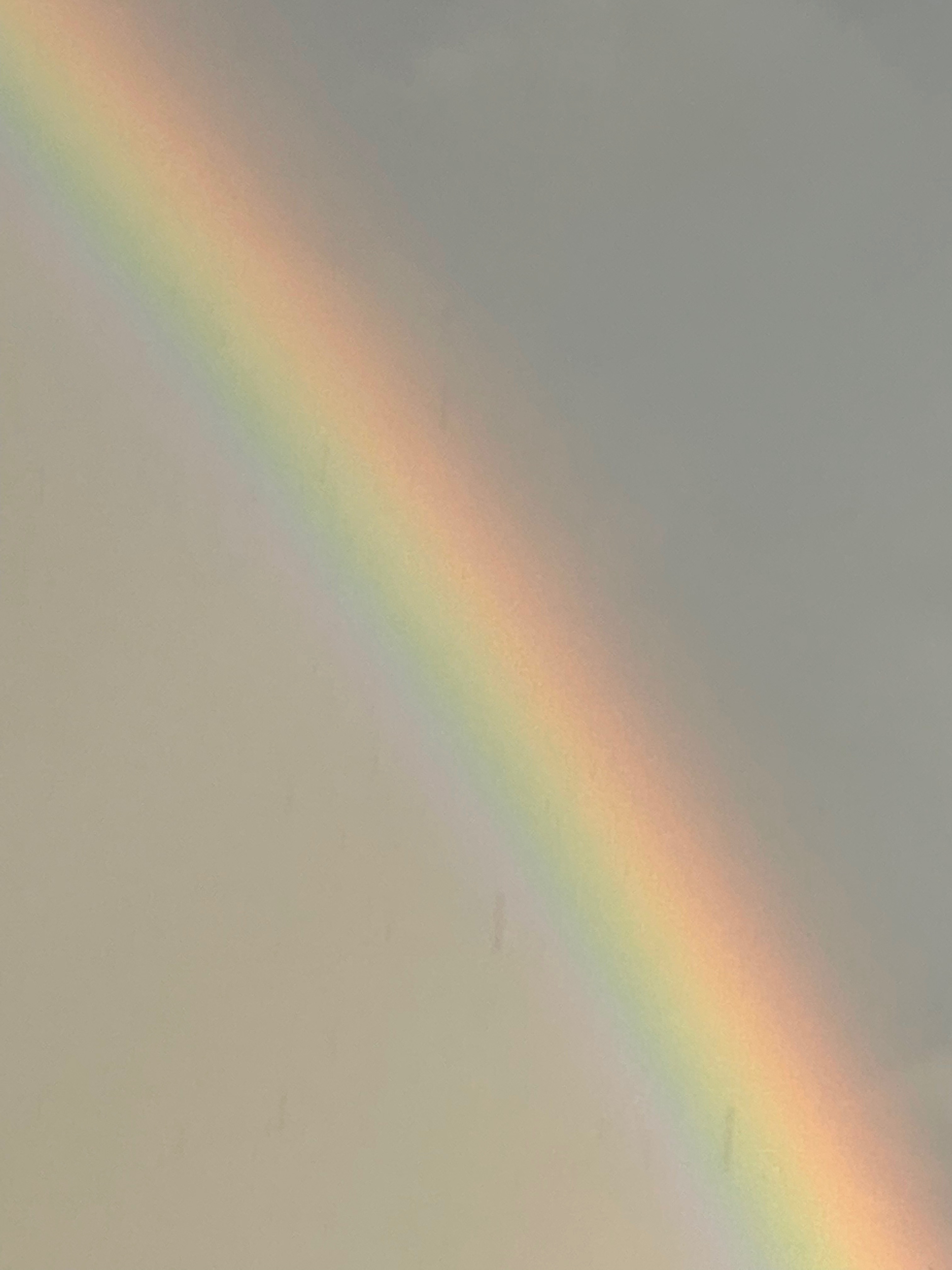 Crystal Taylor banner image
