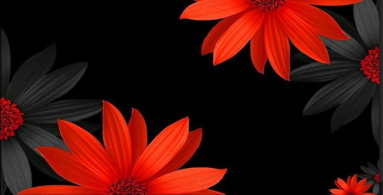 Crystina Sanchez cover image