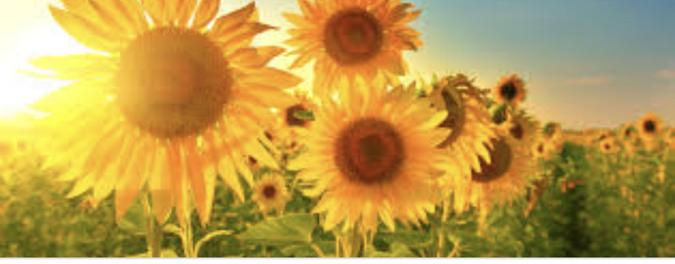 Sky cover image