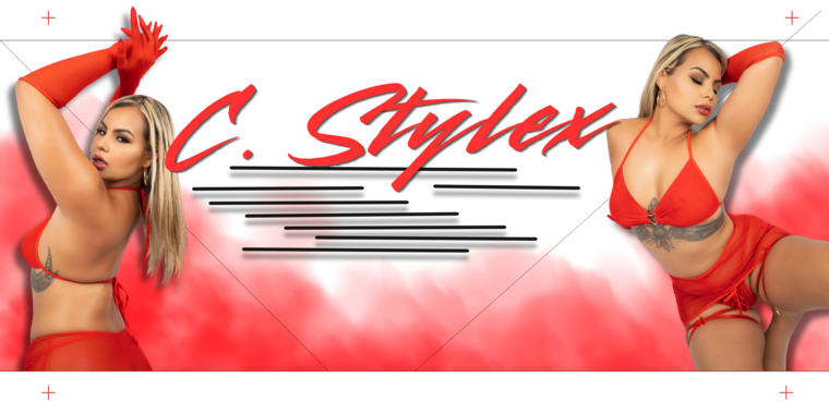 C. Stylex cover image