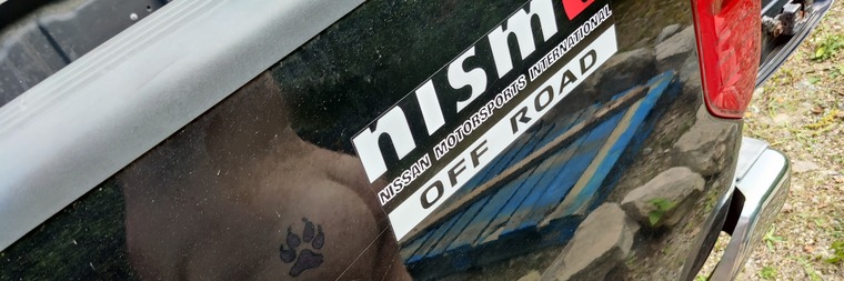 Chris Taylor banner image