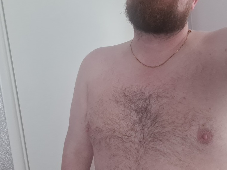 Cub or a bear? Somewhere in between cover image