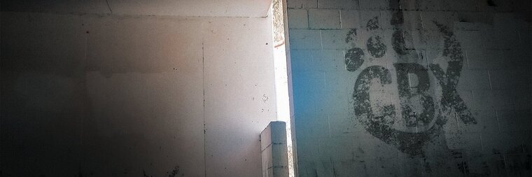 CubbCockX cover image