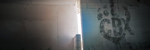 CubbCockX cover image