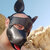 Cuckold Guy (InuThePup) avatar