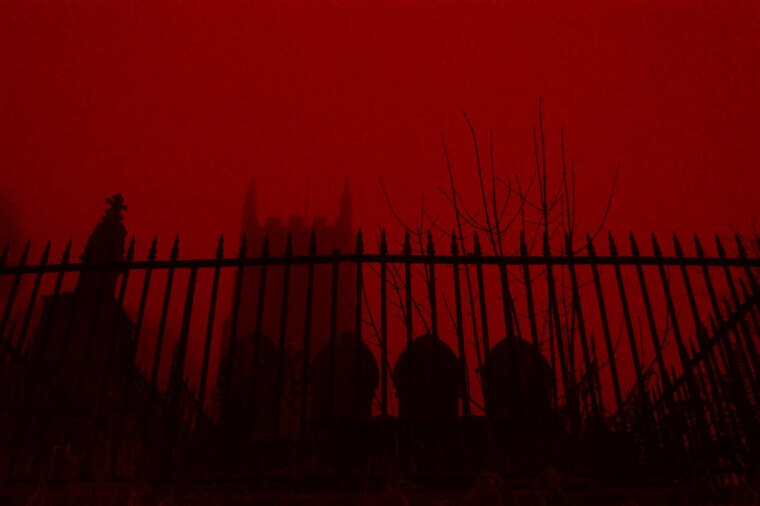 Alpha Carter banner image