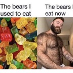bearlovergaymer avatar