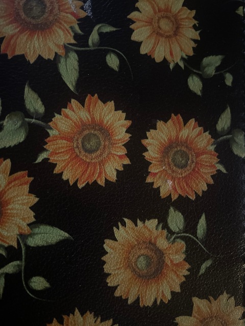 Cuntmuffin cover image