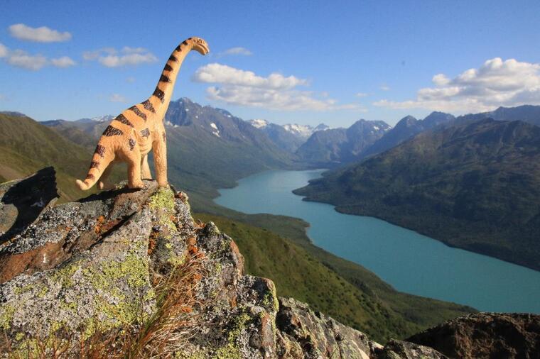 Jill - solo in Alaska cover image