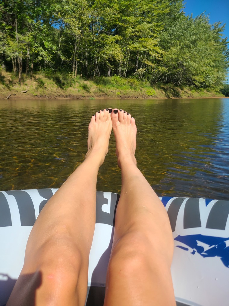 Curious Toes banner image