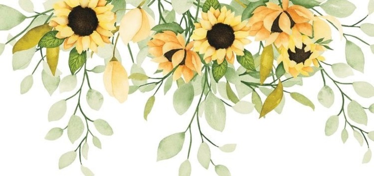 T cover image