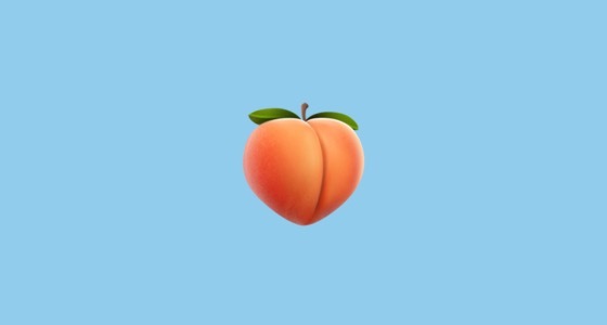 Curly Doe banner image