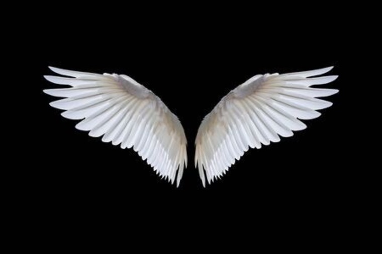 Curved_Angel cover image