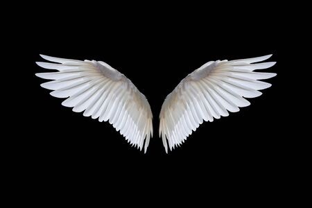 Curved_Angel banner image