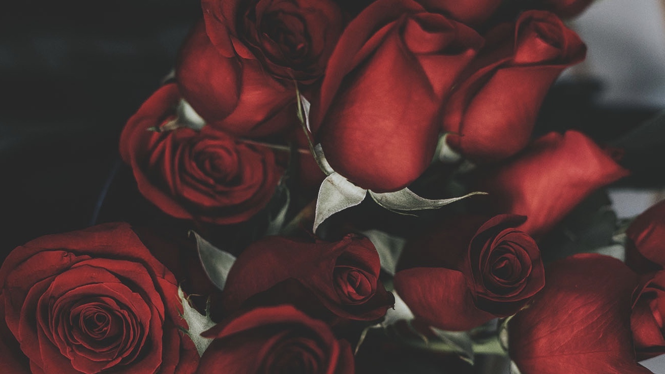 u49120816 banner image