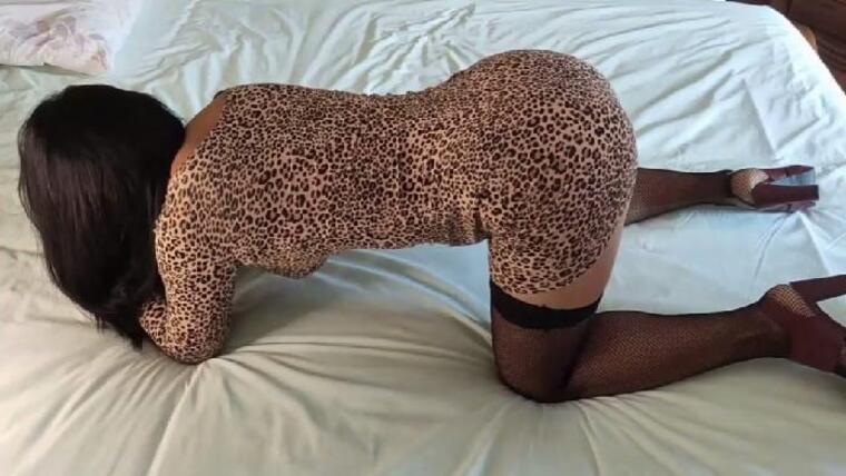 curvyasianwife banner image