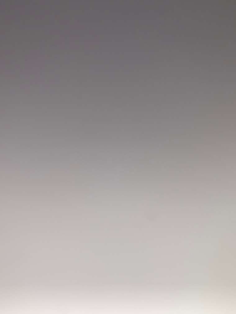 Cat banner image