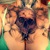 Tattooed soul avatar
