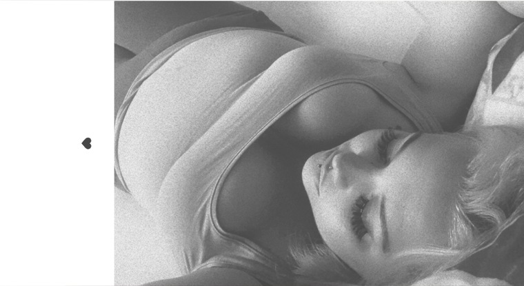 Lara Michelé banner image
