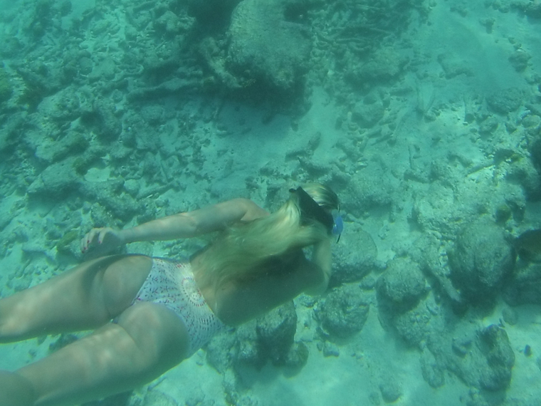 Curvymermaid cover image