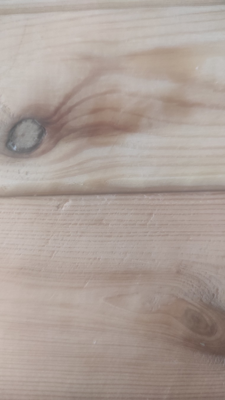 Curvysofia banner image