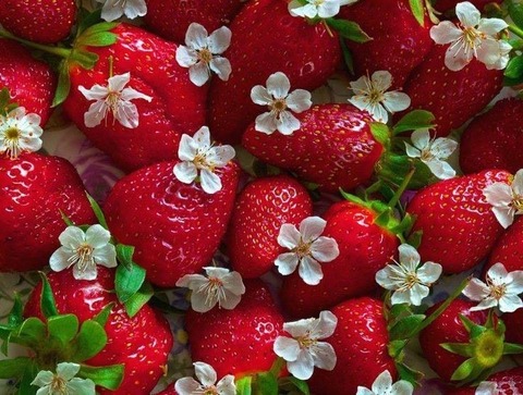 Strawberry Fairy 🍓 cover image