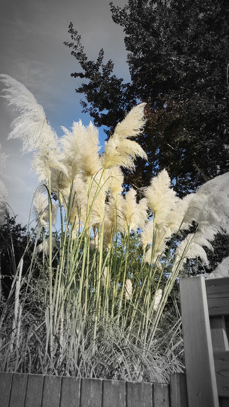 GinaR banner image