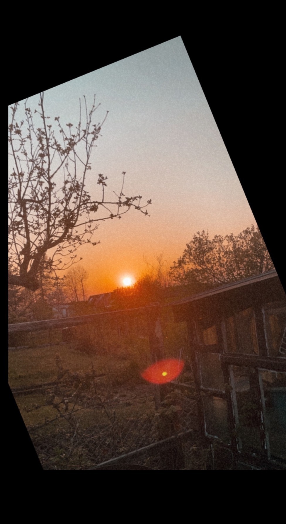 Cuteboyfinn69 banner image