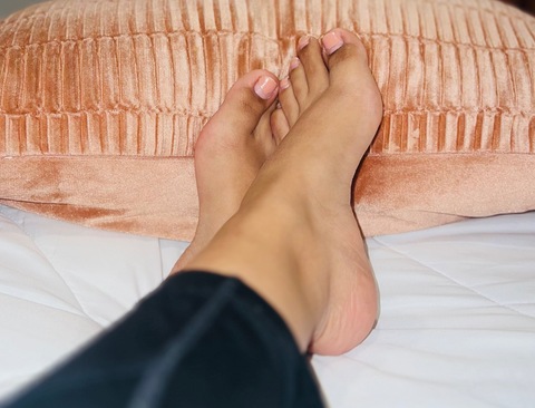 Tee cover image