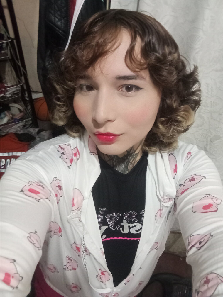 cutekat cover image