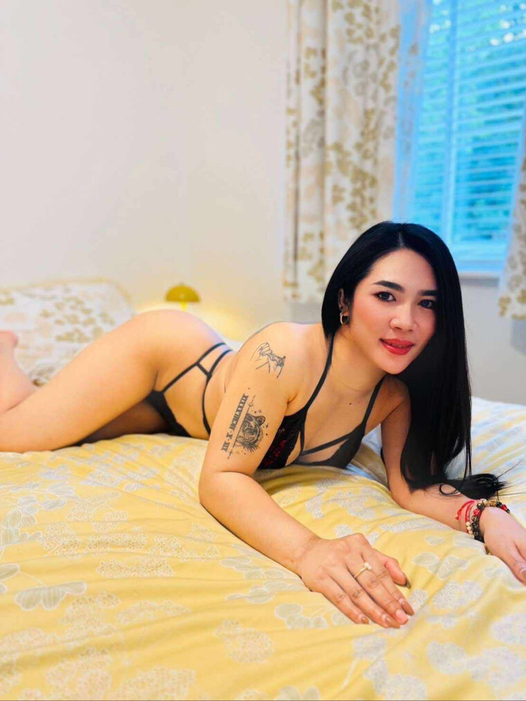 Amy phan (cute kitty 🐱) banner image