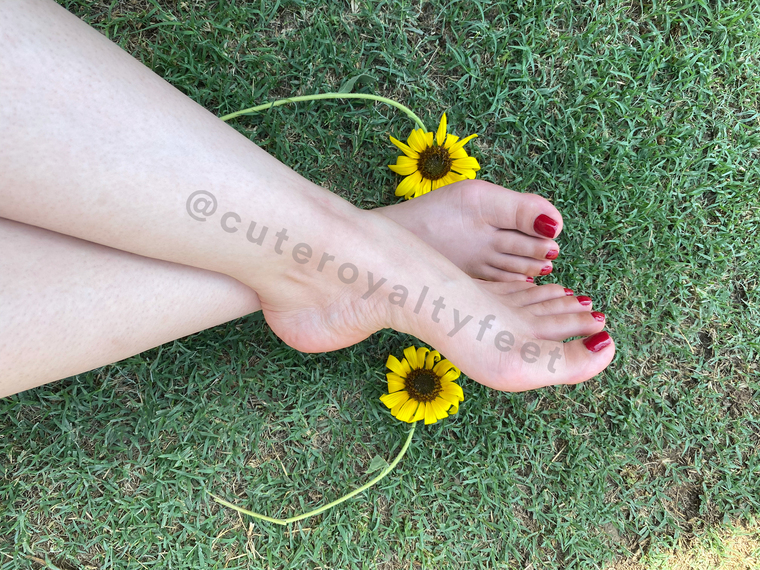 Cuteroyaltyfeet cover image