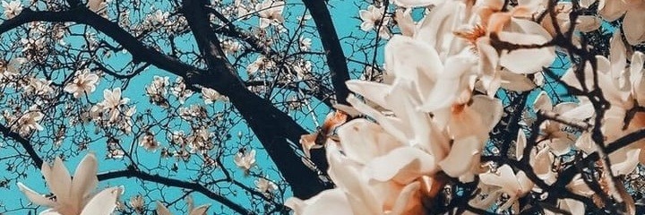 CutexFatxNerd banner image