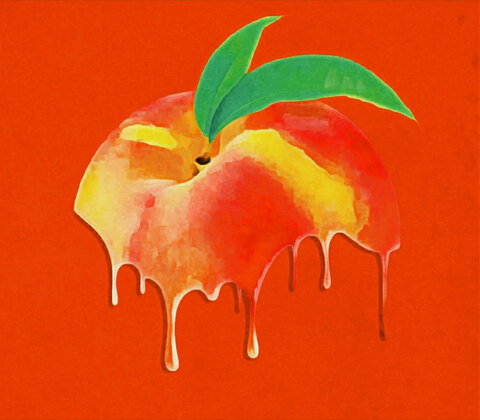 Cia cover image