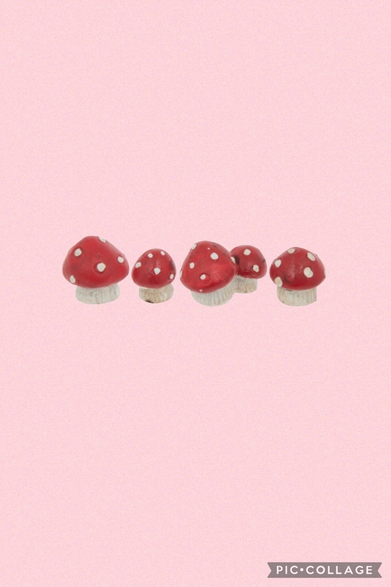 Mushie🍄 banner image