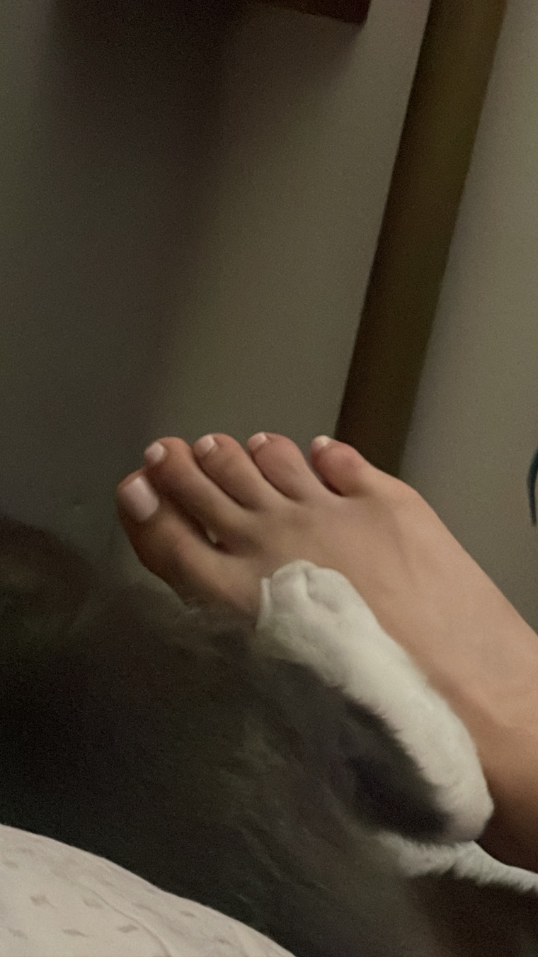 cutiepaws39 banner image