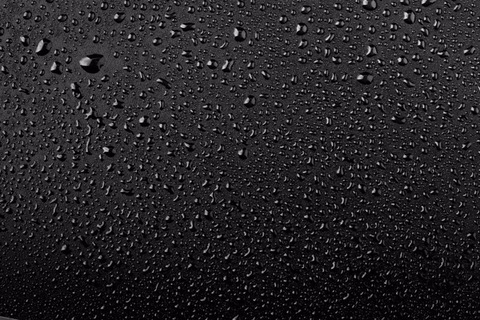 Bas cover image