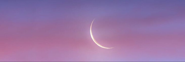 Cuty Manda banner image