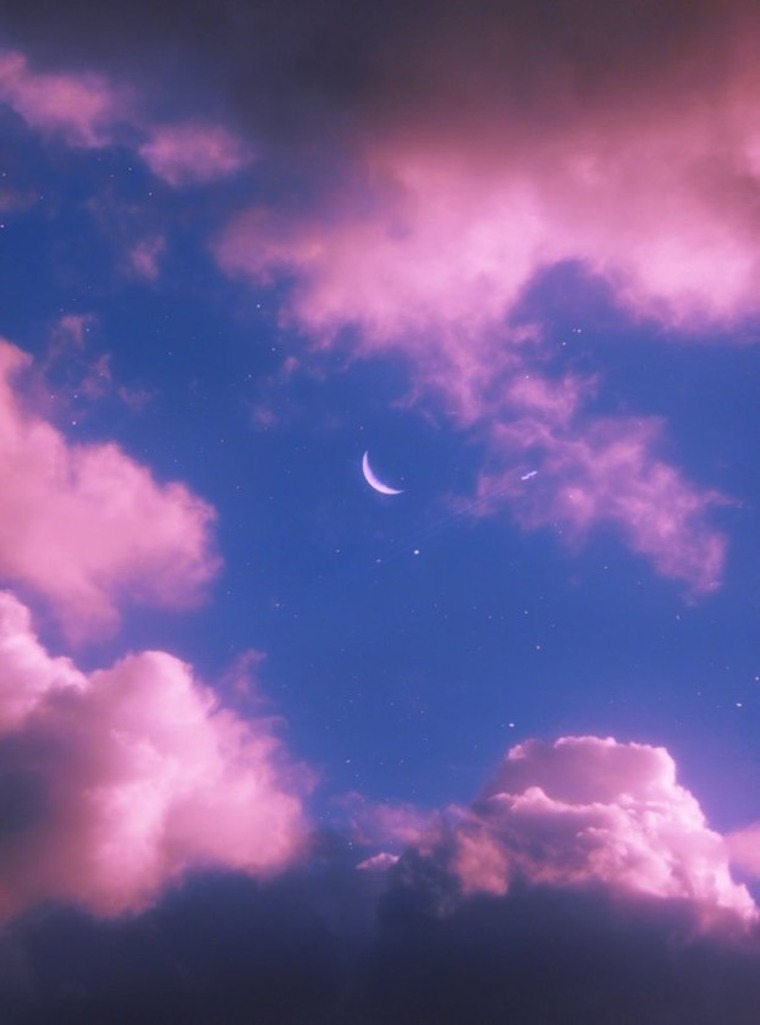 cvmd23 banner image