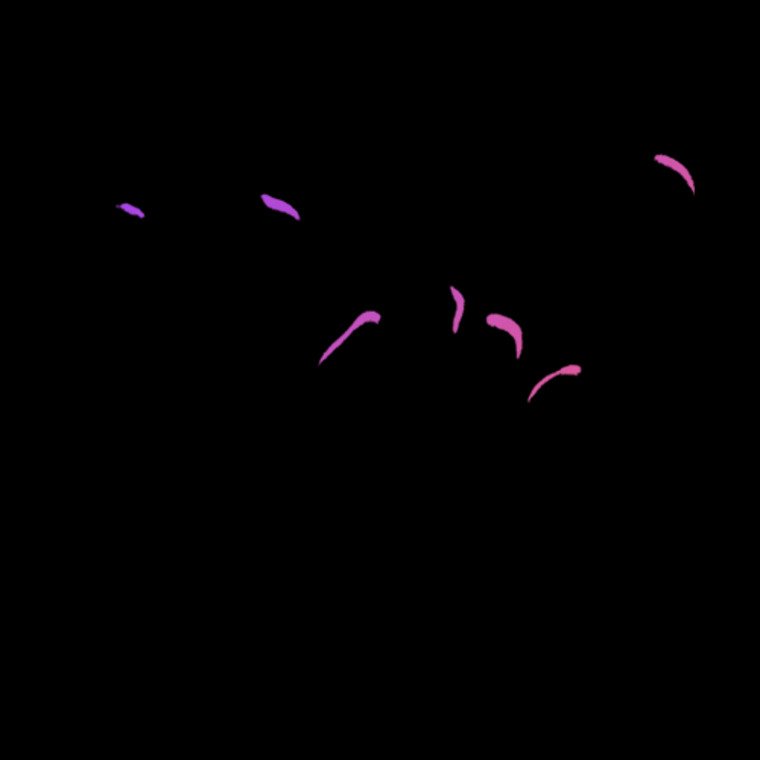 Cutter cover image