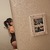 Paige Thomas avatar